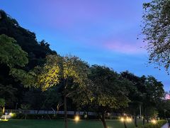-香港大学