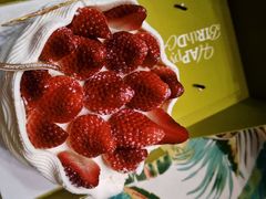 -小苍兰风铃草蛋糕甜品(沈阳店)