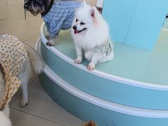 -怪兽屋·羊驼·猫咖·狗咖(俊华广场店)