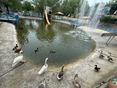 -北京鹿世界主题园