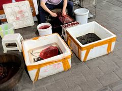 -铜元老码头鳝鱼火锅