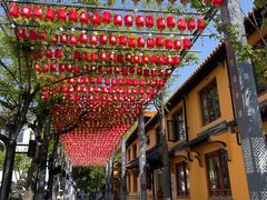 -亭林园-华藏寺