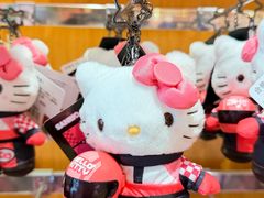 -安吉Hello Kitty乐园