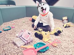 -艾米茉亲子餐厅(万象城店)