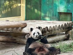 -杭州野生动物世界