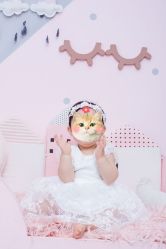 -小熊维尼高端儿童摄影(罗湖区总店)