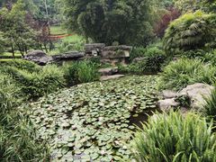 -龙头寺公园