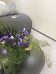 -JNK皮肤管理中心