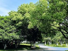 -范蠡湖公园