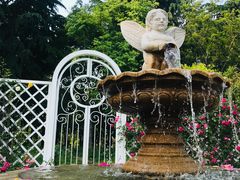 -昆山城市生态森林公园