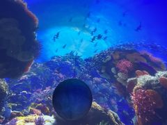 -上海海昌海洋公园