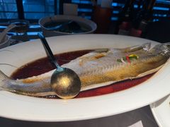 -醉庐·新上海菜(南京西路店)