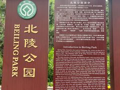-北陵公园