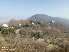 -紫金山天文台