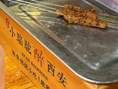 -福苗小骆驼烧烤(莲湖路店)