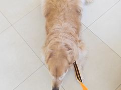 -美迦爱-牙专科·兔科·骨科诊疗中心(北苑店)