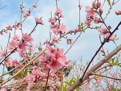 -东山湖温泉度假村