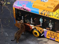 -大连森林动物园