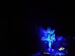 -婺源梦里老家大型山水实景演出