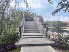 -四海公园(南山区)
