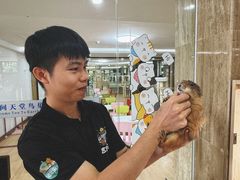 -三亚亚龙湾人间天堂鸟巢度假村