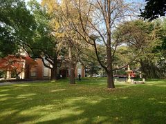 -叶叶菩提·晋福宫