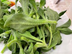 冰菜-顺风海鲜港(金玉兰店)