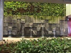 -西沃古尔·拉姆古兰爵士国际机场