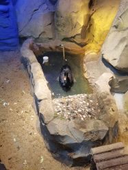 -酷嗒动物文化乐园(cutezoo西溪乐天城店)