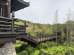-大唐贡茶院