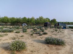 -天津东丽湖风景区