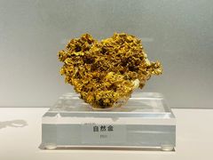 -中国地质博物馆