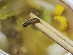 -为什么牛潮汕牛肉火锅(万胜广场店)