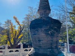 -潭柘寺景区