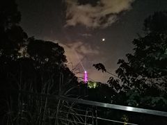 -金鸡山公园