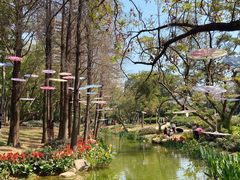 -人民公园(罗湖区)