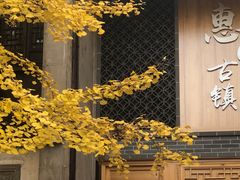 -惠山古镇·寄畅园