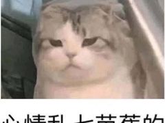 -卡地亚(贵和精品店)