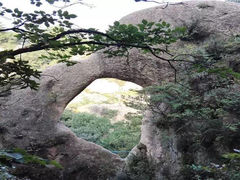-六里坪国家森林公园