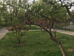 -玲珑塔公园