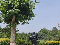 -赵州桥景区