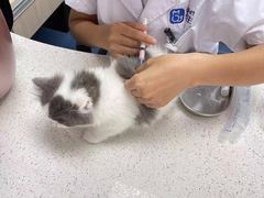-宠颐生动物医院·小陆分院