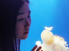 -泉城欧乐堡海洋极地世界