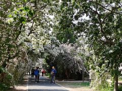 -国家植物园南园