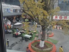 -集渔·泰式海鲜火锅(彭州店)