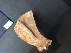 -北京周口店北京人遗址博物馆