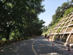 -大雁山风景区