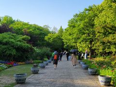 -上海滨江森林公园
