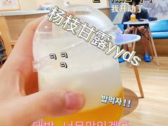 -滚猫咖啡·猫咖·猫友好撸猫(未来城店)