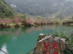 -靖西鹅泉风景区